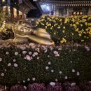 풍경스케치(야간) 이미지