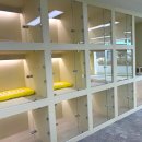 펫라운지 애견미용 애견호텔 이미지