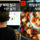 요거해 이미지