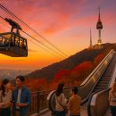 남산카서비스 | 서울 남산 케이블카 vs 남산 오르미! 어떤 걸 타야 할까? (+실제 경험 비교, 탑승 후기)