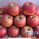 황주식품 이미지