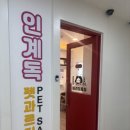 펫과르디올라