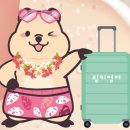 애플트리아일랜드어린이집 이미지