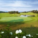 천안상록골프장 이미지