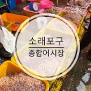 인천새우젓 | 소래포구 어시장 생새우 구매후기 | 새우젓 담그기 좋은 제철 생새우