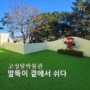고성박물관 티스토리