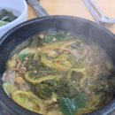 맘모스약국 이미지