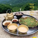 막걸리한잔 Daum카페