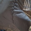 철희농장 이미지