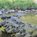 포시즌캠핑장 이미지