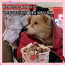 배스킨라빈스건대스타시티점 | 배스킨라빈스 건대 스타시티점 쿼터 구매하고 헌터 블랭킷 7900원에 득템 (아이스크림 칼로리)