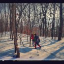 아홉사리로 이미지