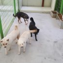 보금