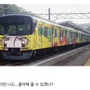 메텔 이미지