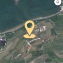 금알공인중개사사무소 이미지