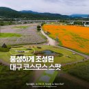 금호10-1낙차공 | 대구 꽃구경 가을 가볼만한곳 하중도 금호꽃섬 코스모스 위치 개화상황 주차