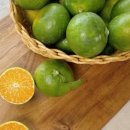 유라농장 이미지