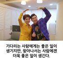 인셀덤 드림