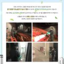 소유경 | [대학로 연극] 오백에 삼십 솔직 후기!/코믹연극,혜화연극