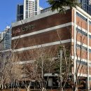 대구 가볼만한곳 대구예술발전소 ‘플렉’이 제작한 크리스마스 미디어아트(무료관람)