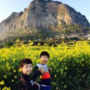 서홍이글태권도 이미지