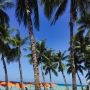 (주)메디스 이미지