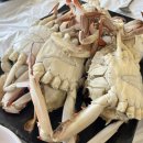 서영이네 | 전주 삼천동 서영수산 서영회센터 꽃게찜 후기