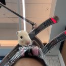 헤어 컹컹 | [지축 미용실] 레이어드컷 볼륨매직 맛집 비브헤어 솔직후기