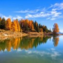 더글라스아이 이미지