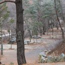 쿵쿵소 캠핑장 이미지