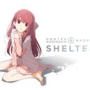 SHELTER PC 이미지