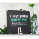 다이트경기수원 이미지
