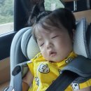 지에스25 포항오도리점 이미지