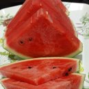 도담셀프주유소 이미지