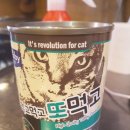 우다다냥 이미지