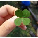 동방아동재활원 이미지