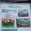 시거리식당 이미지