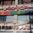 대교양고기 이미지