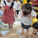 와우 동물농장 이미지