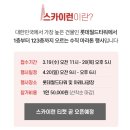 숨 쉬기 운동만 하는 사람의 2024 SKY RUN 후기