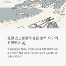 포항 스노쿨링 명소, 이가리간이해변에서 즐기는 바다 속 모험
