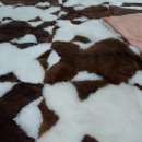 수선세탁 이미지