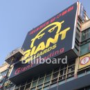 허리우드(8대) 이미지