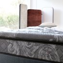 뉴스피드존 이미지