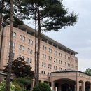 메이필드호텔 | 서울 호캉스 추천 메이필드호텔 가성비 5성급 스탠다드 더블 후기