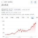 1년 50% 5년 200% 상승한 코스트코 주가 이미지