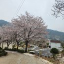 상사포레브(FOREV)