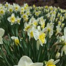 천명행정사사무소 이미지