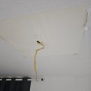 군자주공11단지 이미지