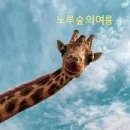 노루숲 Daum카페
